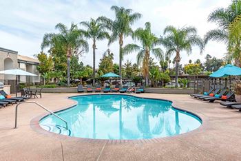 Two sparkling swimming pools & spas